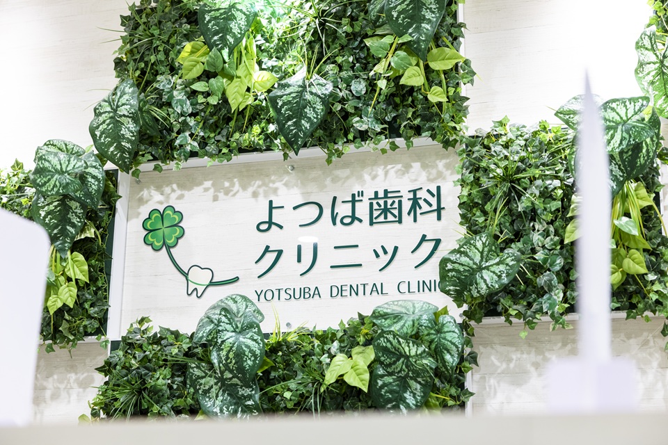 基本情報